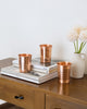 Copper vs Stainless Steel vs Glass: Which Is Better for Drinking Water?