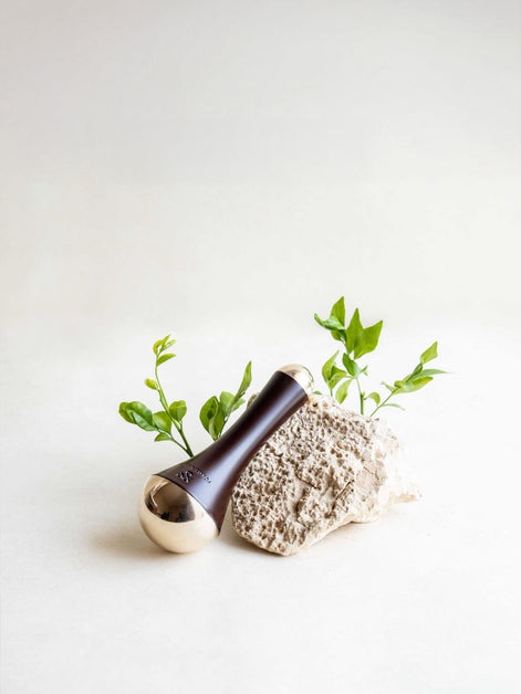 Ayurveda Duo: Kansa Wand + Body and Face Oil Pink Lotus